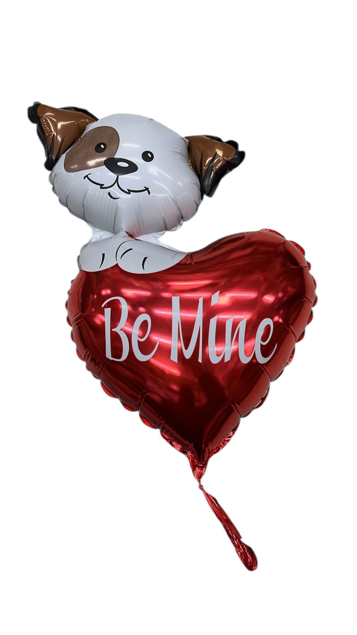 Palloncino in Foil 14